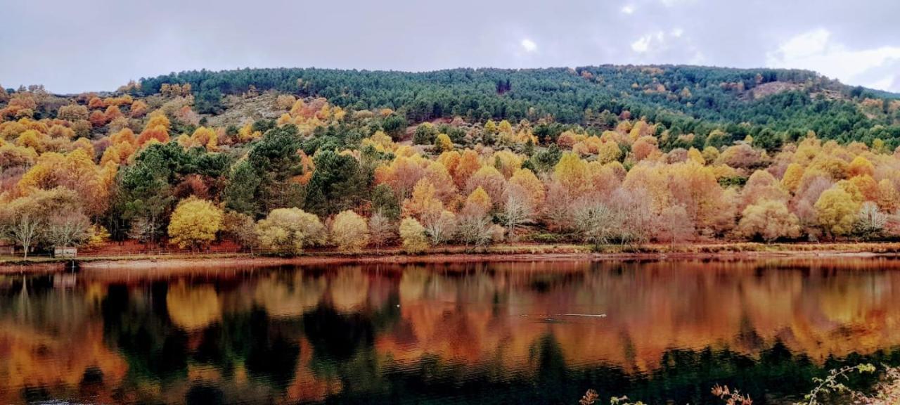 Apartamento El Corazon De Gredos آريناس دي سان بيدرو المظهر الخارجي الصورة